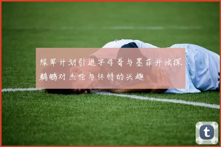 绿军计划引进字母哥与墨菲并试探鹈鹕对杰伦与怀特的兴趣