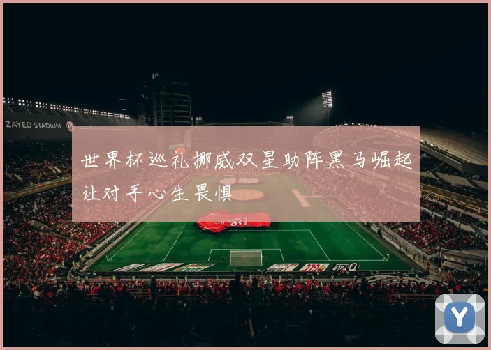 世界杯巡礼挪威双星助阵黑马崛起让对手心生畏惧