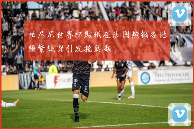 帕尼尼世界杯贴纸在法国热销各地频繁缺货引发抢购潮